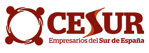 Innovación Empresarial en el Sur de España