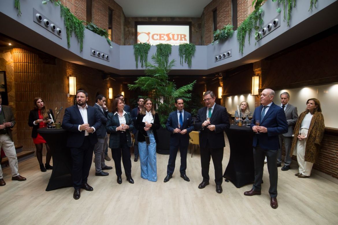 Innovación Empresarial en el Sur de España