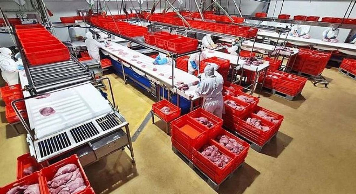 Innovación Empresarial en el Sur de España