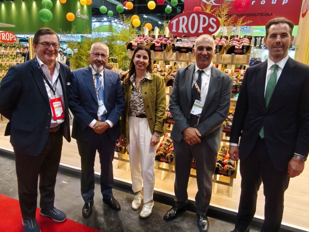 Innovación Empresarial en el Sur de España