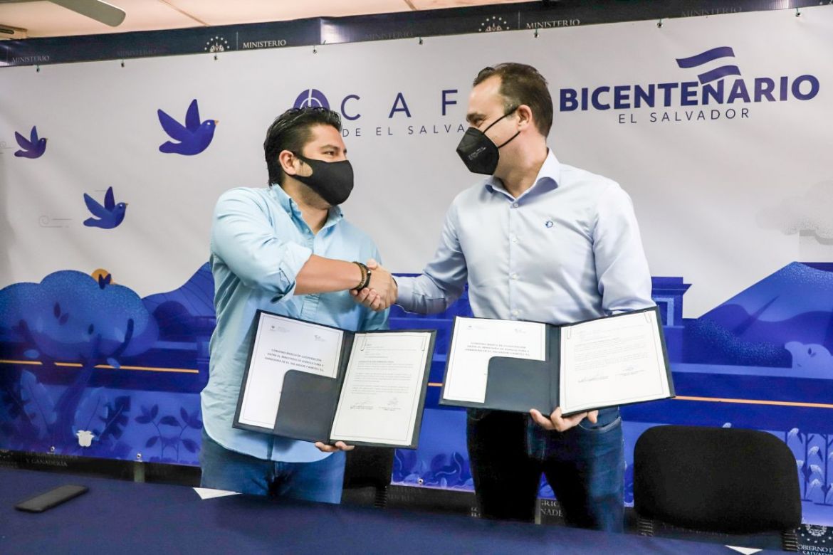 Innovación Empresarial en el Sur de España