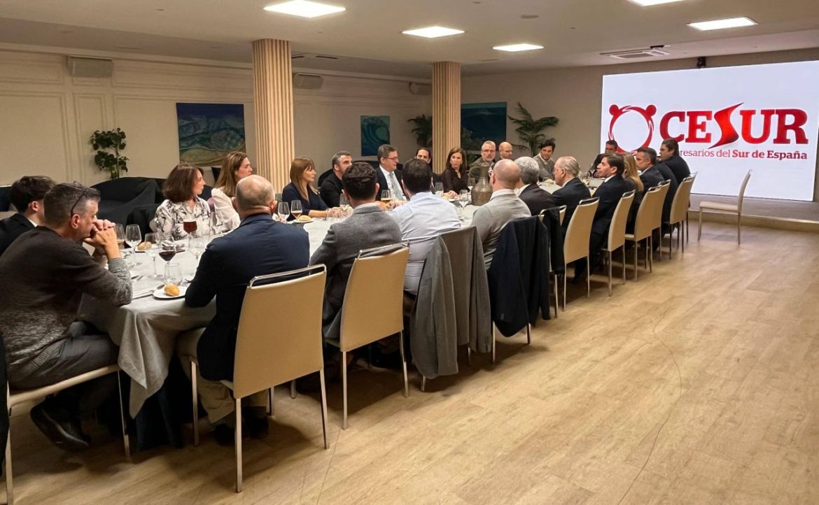 Innovación Empresarial en el Sur de España