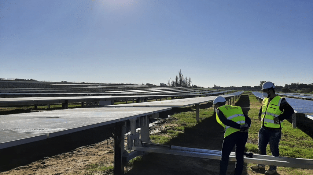 Innovación Empresarial en el Sur de España