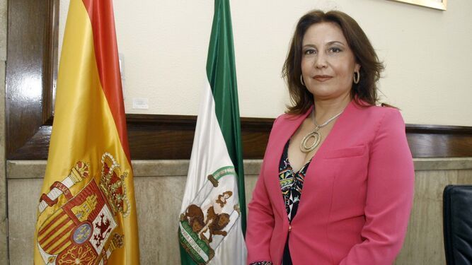 Actividades