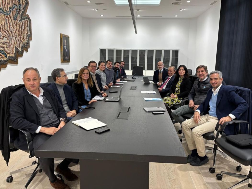 Innovación Empresarial en el Sur de España