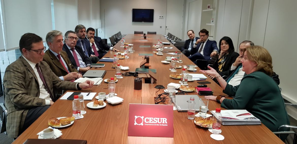 La Comisión de Industria de CESUR se reúne con altos cargos de la Consejería de Empleo, Empresa y Comercio