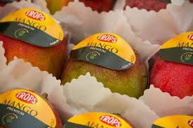 Trops se consolida como la mayor productora de mango de España