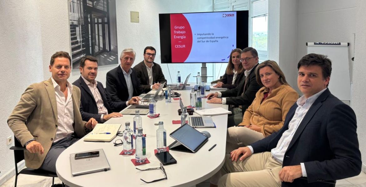 Innovación Empresarial en el Sur de España