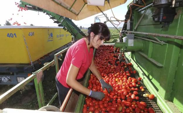 Las claves para la transformación agroalimentaria, a debate en una jornada organizada por HOY y Cesur