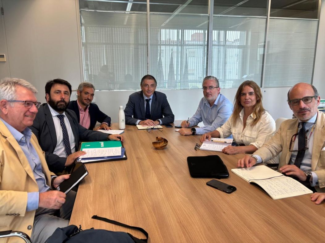 Innovación Empresarial en el Sur de España