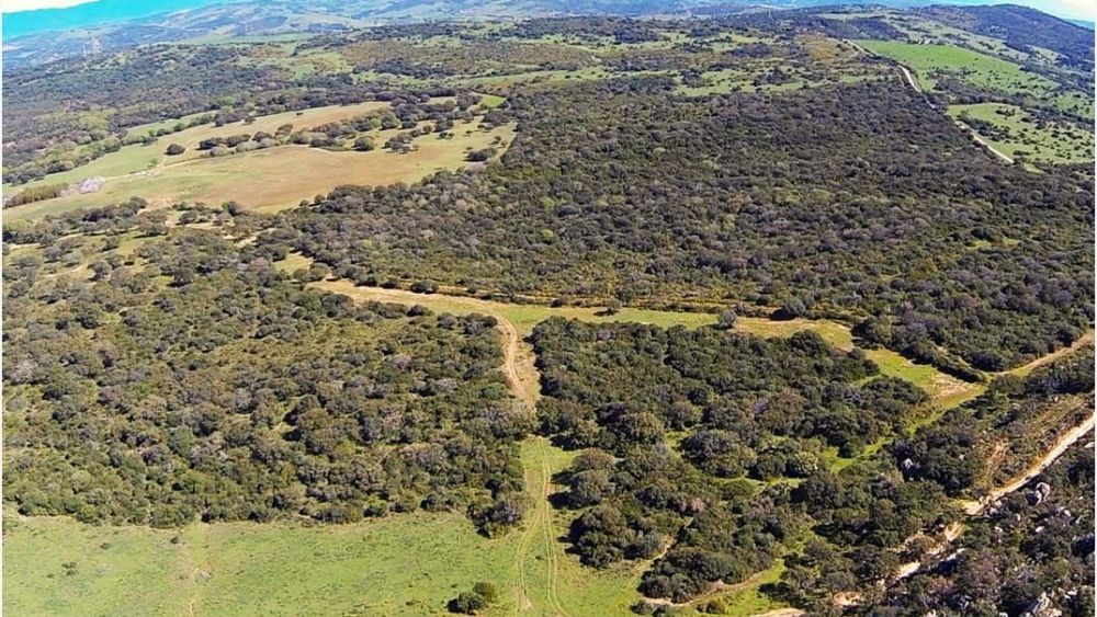 Aprobación definitiva para la construcción del campo de golf y el proyecto hotelero de La Zagaleta