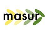 Masur