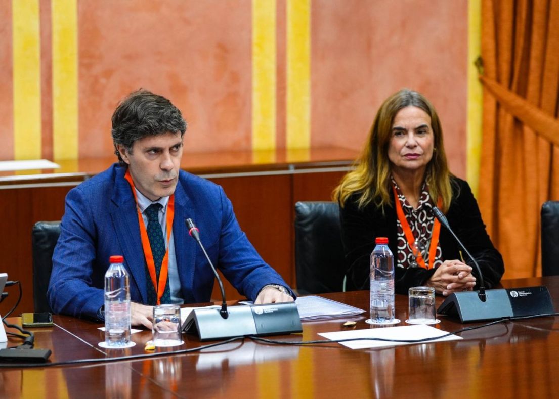 Innovación Empresarial en el Sur de España