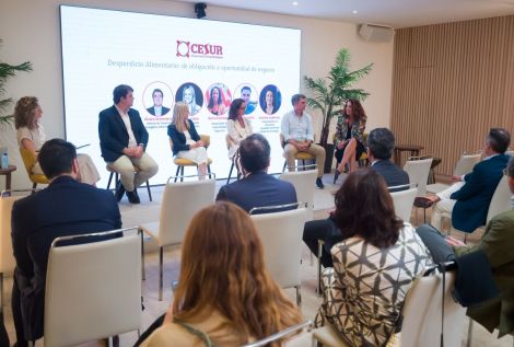 CESUR - Asociación de Empresarios del Sur de España