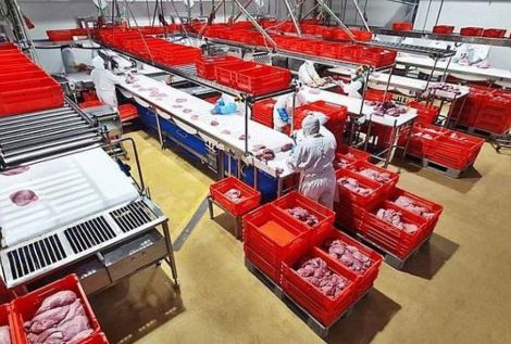 CESUR - Asociación de Empresarios del Sur de España