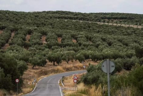 CESUR - Asociación de Empresarios del Sur de España