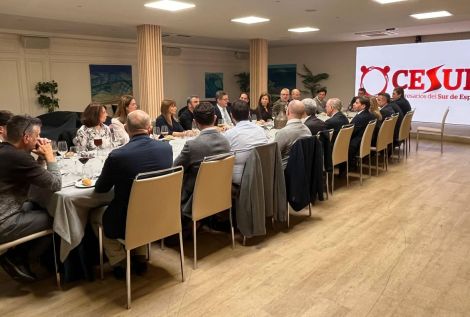 CESUR - Asociación de Empresarios del Sur de España