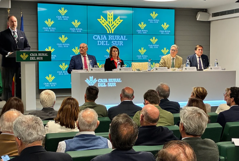CESUR - Asociación de Empresarios del Sur de España