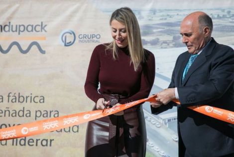 CESUR - Asociación de Empresarios del Sur de España