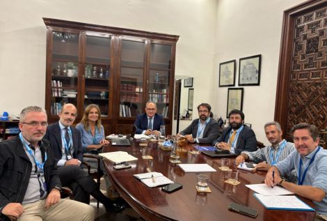 CESUR - Asociación de Empresarios del Sur de España