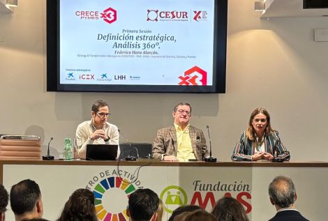 CESUR - Asociación de Empresarios del Sur de España