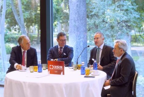 CESUR - Asociación de Empresarios del Sur de España