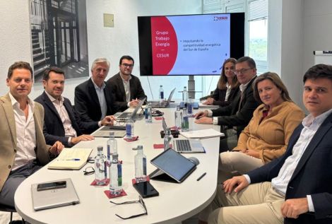 CESUR - Asociación de Empresarios del Sur de España