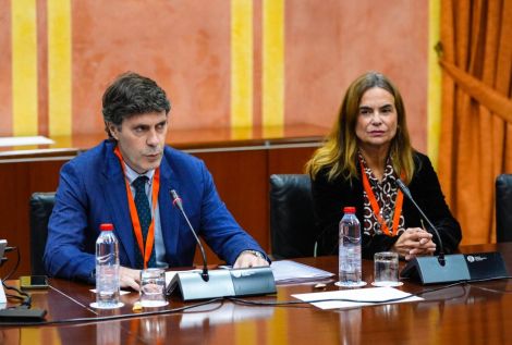 CESUR - Asociación de Empresarios del Sur de España