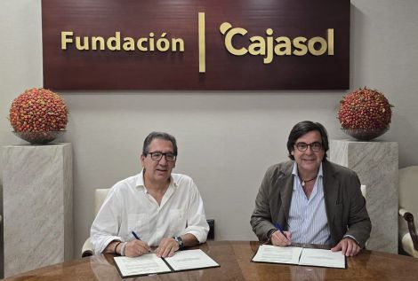 CESUR - Asociación de Empresarios del Sur de España