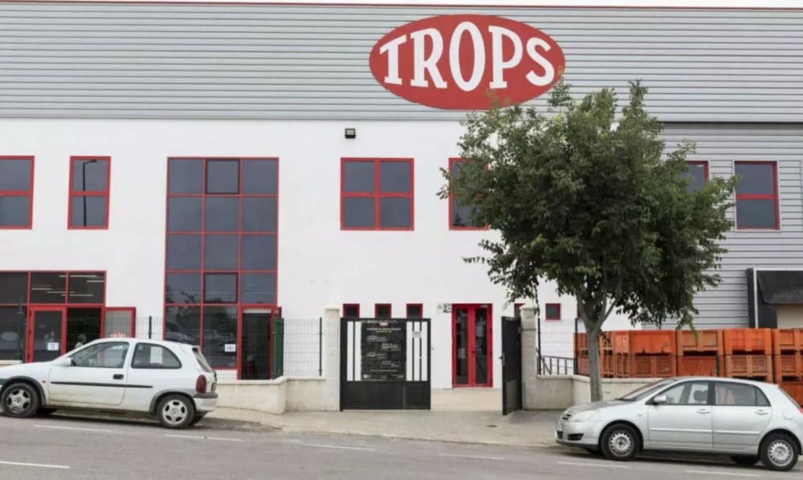 Trops, el proveedor de aguacate de Mercadona, alcanza los 200 millones de facturación y se expande a Portugal