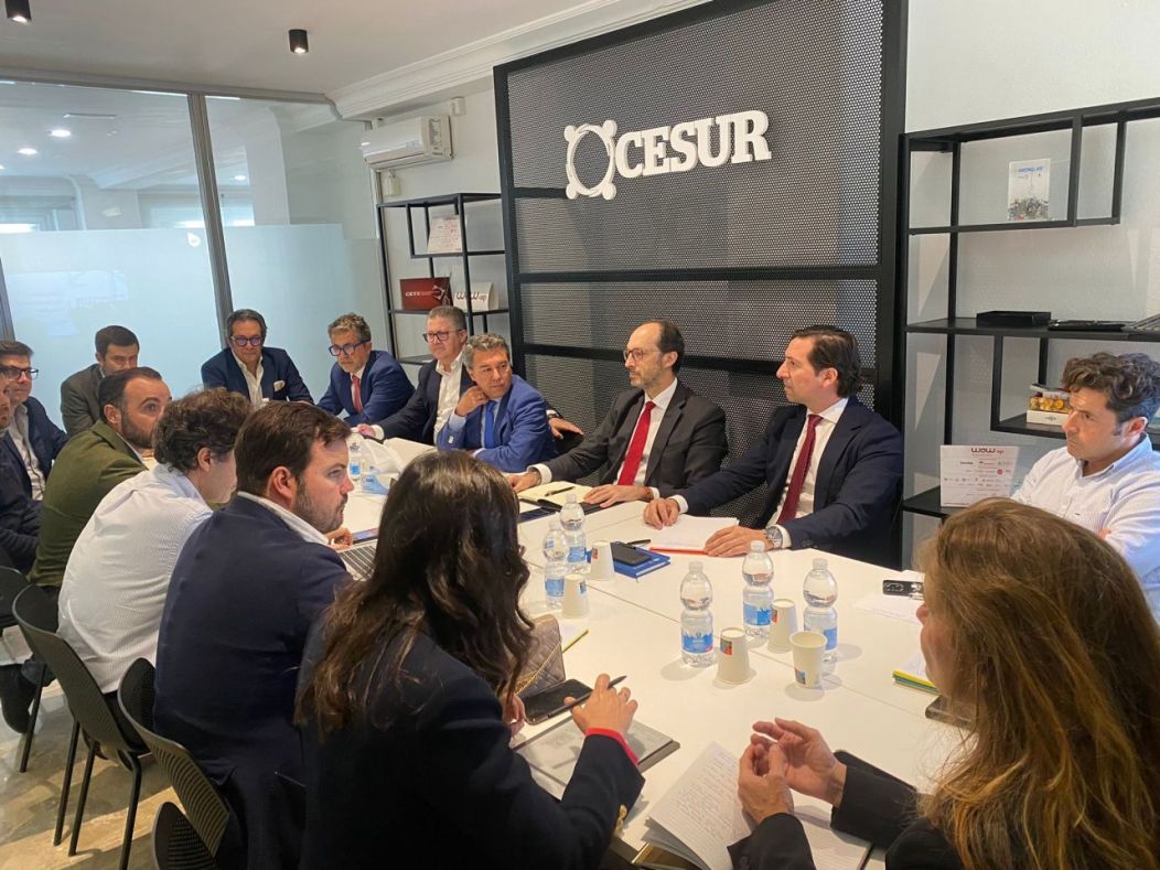 Innovación Empresarial en el Sur de España