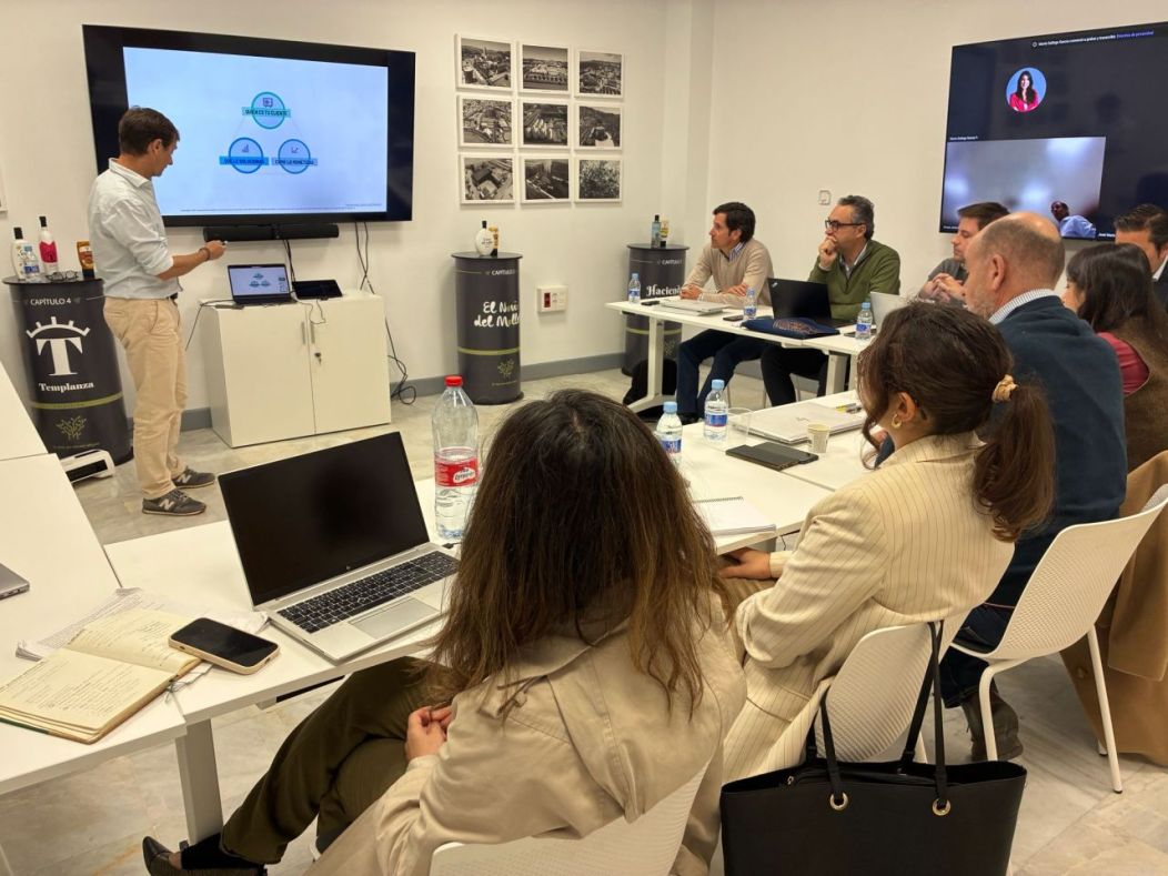 Innovación Empresarial en el Sur de España